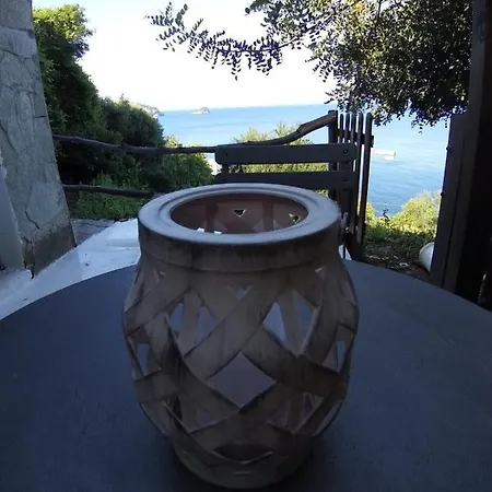 Hébergement de vacances Tiny Noli